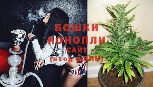 PSILOCYBIN Приозерск