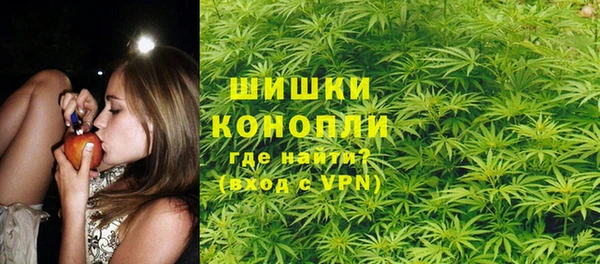 гидра Пролетарск